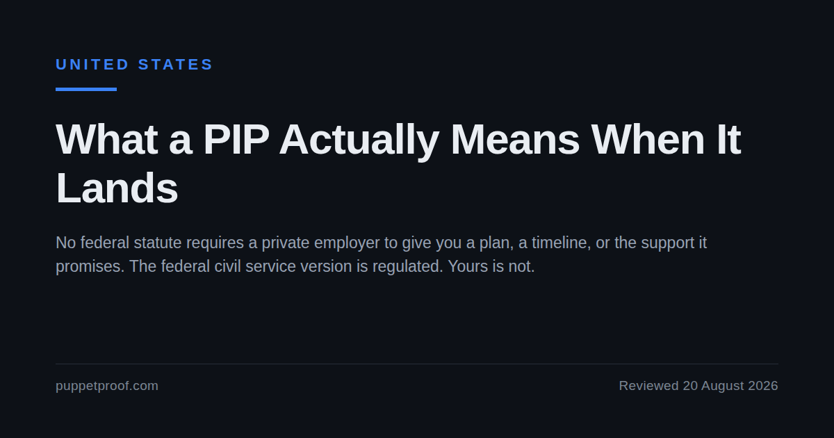 Dark social card headed United States. Headline: What a PIP Actually Means When It Lands. Below it, the line: no federal statute requires a private employer to give you a plan, a timeline, or the support it promises, and the federal civil service version is regulated while a private one is not.